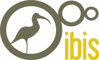 ibis1 (4)