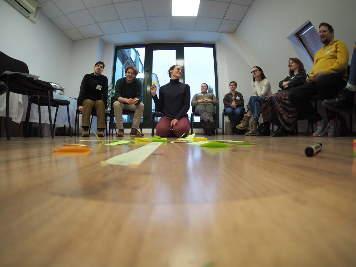 NGO polityki publiczne mentoring i warsztat Joanny Suchomskiej