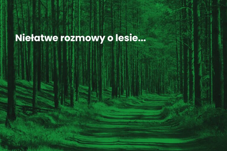 Aktualności: Dialog i&nbsp;partycypacja w&nbsp;Lasach Państwowych – szkolenia PZR - ilustracja